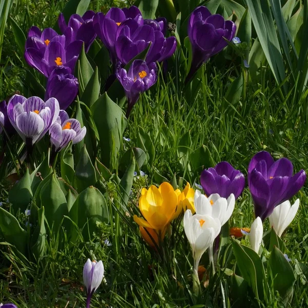 博业体育捕鱼游戏